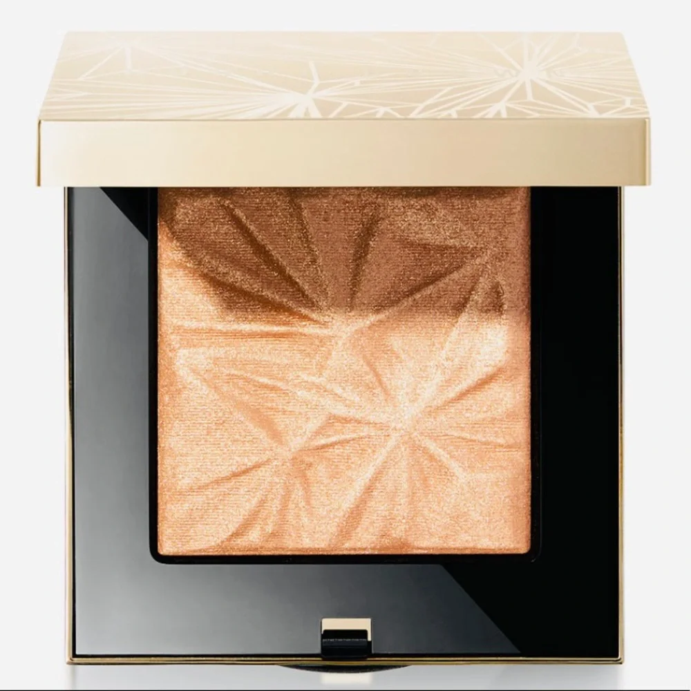Bobbi Brown set bronzer blush highlighter brush new